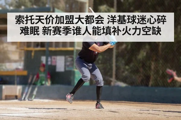 索托天价加盟大都会 洋基球迷心碎难眠 新赛季谁人能填补火力空缺